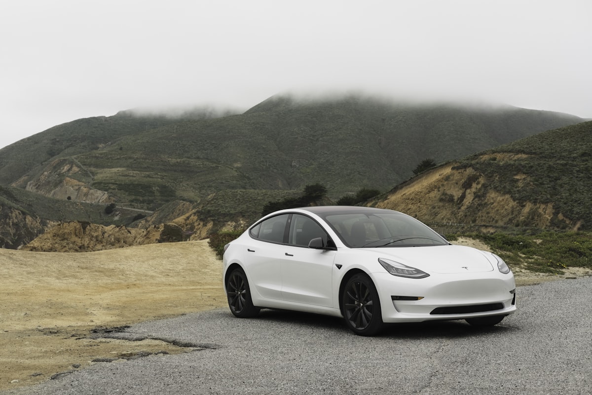 Tesla Model 3 Experience Day